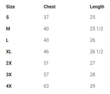 Load image into Gallery viewer, Playoff Ladies T-shirt