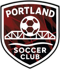 Load image into Gallery viewer, Soccer Club Decal
